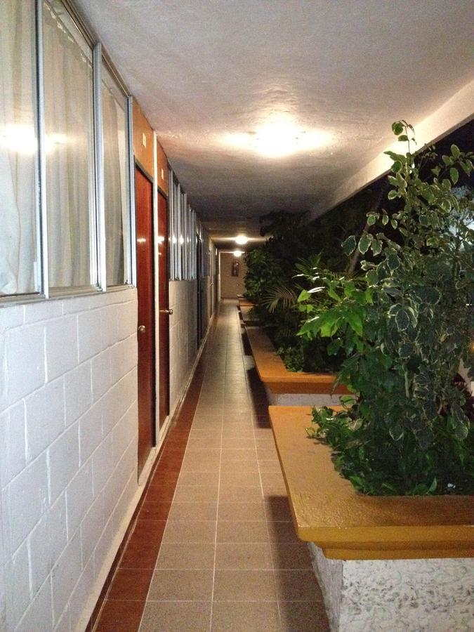 Hotel Safari Tuxtla Gutiérrez Eksteriør bilde